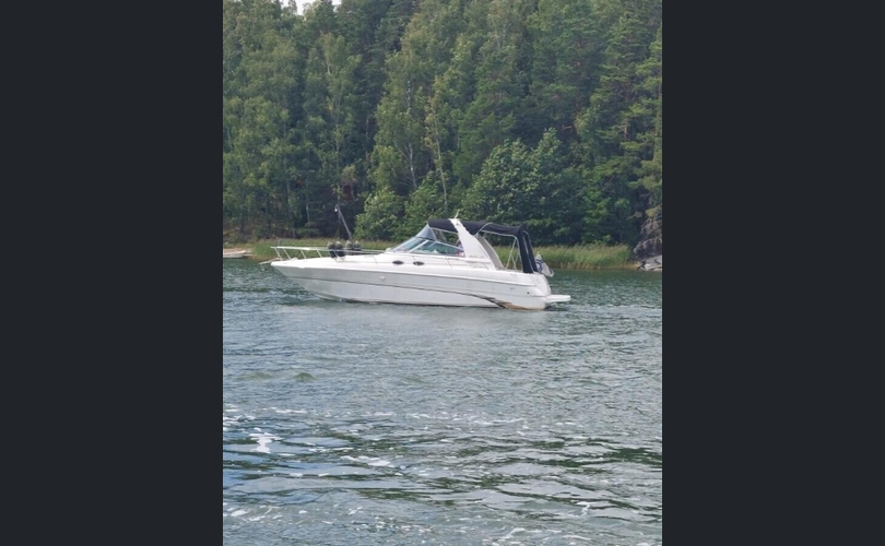 Sea Ray 310 Sundancer-kuva-13